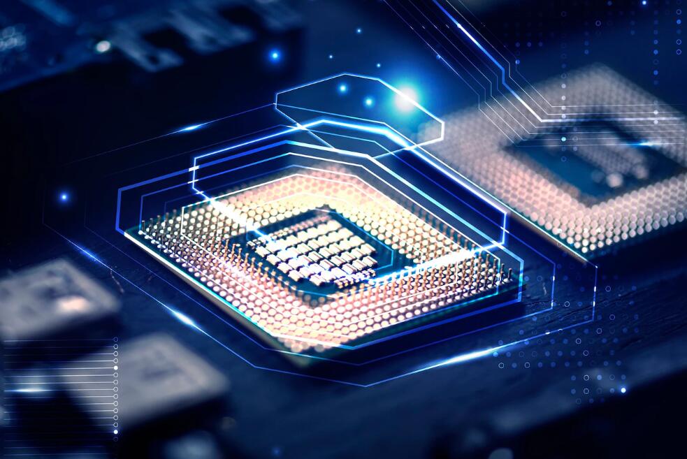 野生溪石斑鱼最大的多大 野生石斑鱼